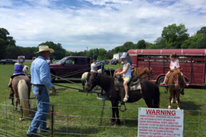Pony rides at Mayberry Day