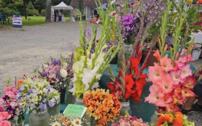 Geraldine Farmers Market
