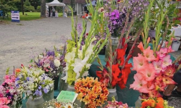 Geraldine Farmers Market