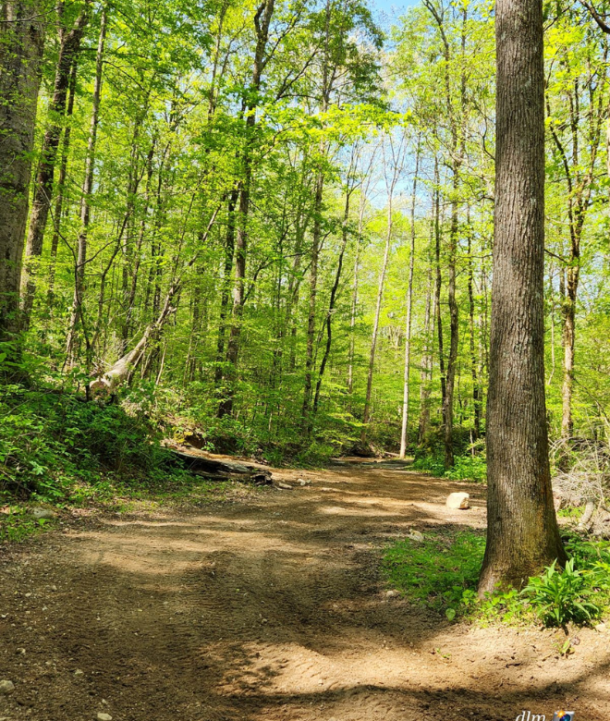 Exploring Buck’s Pocket State Park's ORV Trail