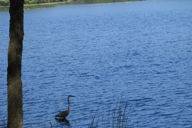 DeKalb Lake - Visit Lookout Mountain