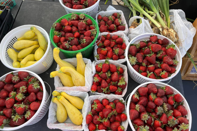 Fort Payne Family farmers market