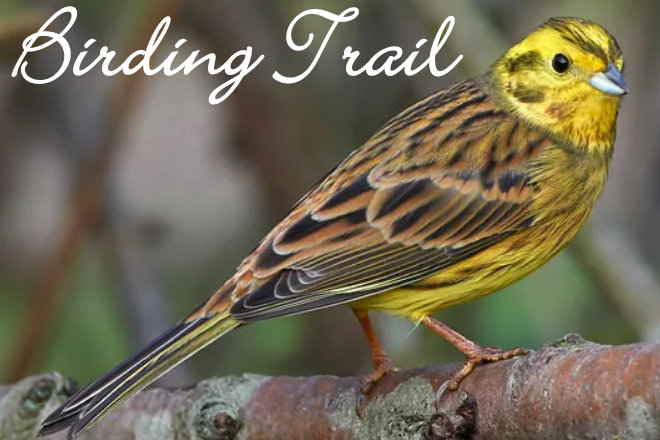 DeKalb County, AL, Birding Trail