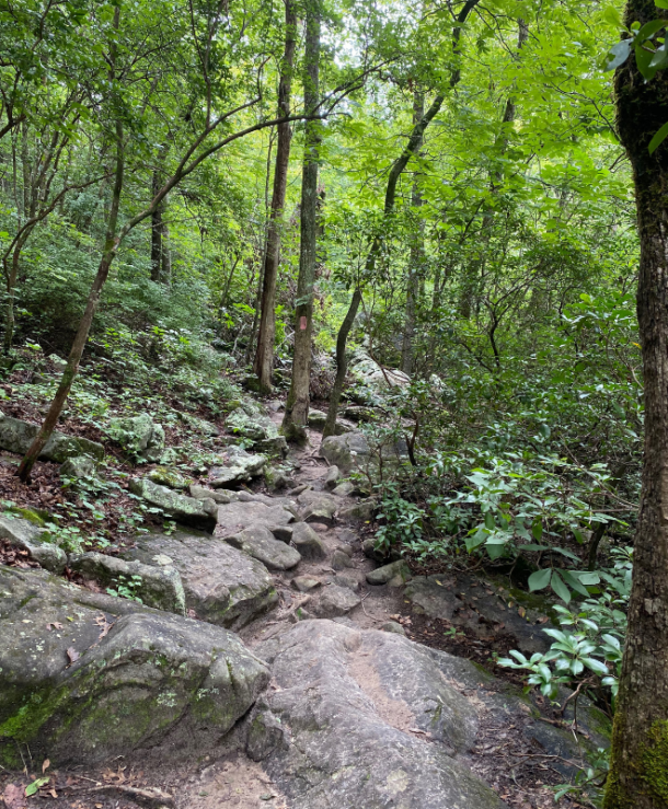 Spending a Summer Day at DeSoto Falls on Lookout Mountain