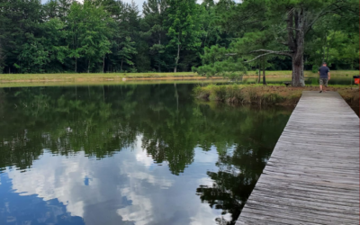 Woodybrooke Farm Campground