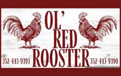 Ol’ Red Rooster