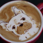 Pet Friendly Adventures in DeKalb County