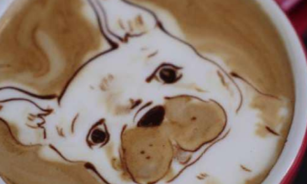 Pet Friendly Adventures in DeKalb County