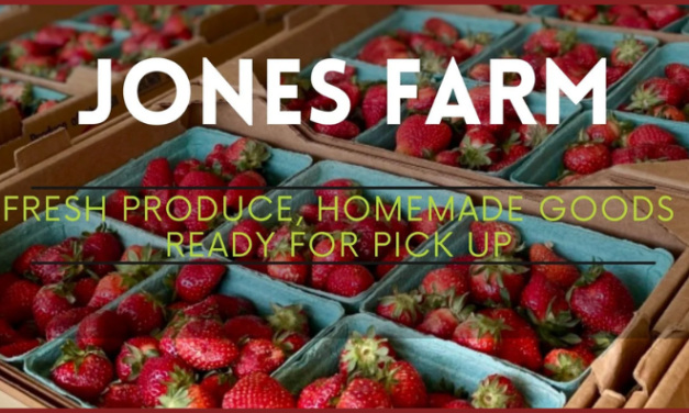Jones Farm