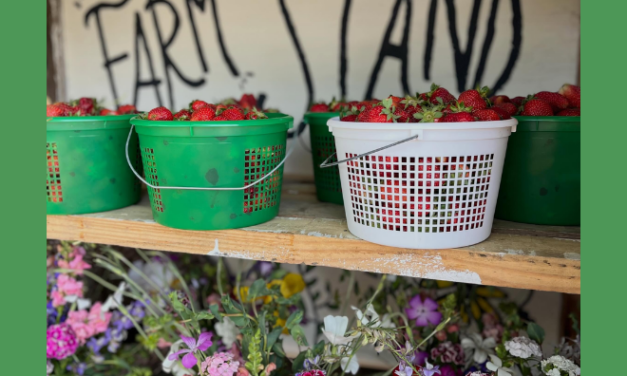 Town Creek Farm Stand