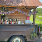 Discover the Charm of DeKalb County’s Self-Serve Roadside Markets