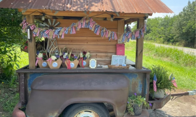 Discover the Charm of DeKalb County’s Self-Serve Roadside Markets