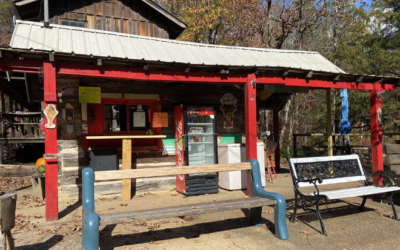The Village Ice Cream Shoppe