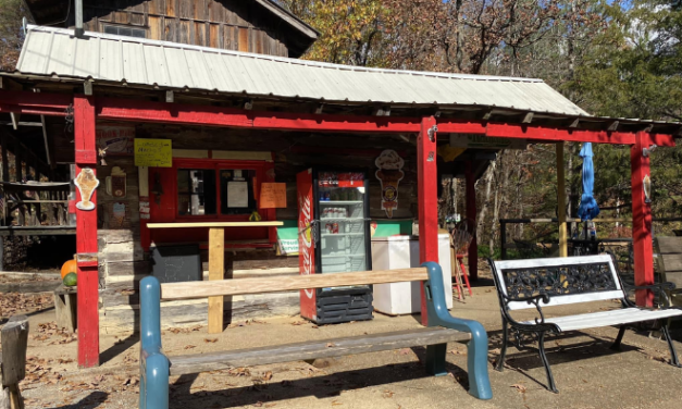 The Village Ice Cream Shoppe